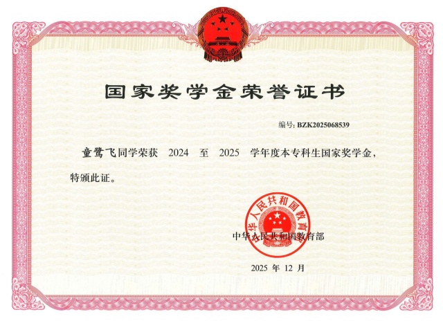 2024-2025学年国家奖学金（童鹭飞）